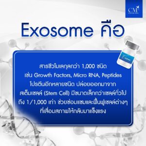 Exosome (เอ็กโซโซม) , เอ็กโซโซมคืออะไร